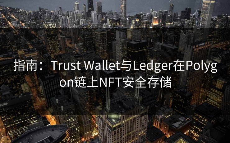指南：Trust Wallet与Ledger在Polygon链上NFT安全存储