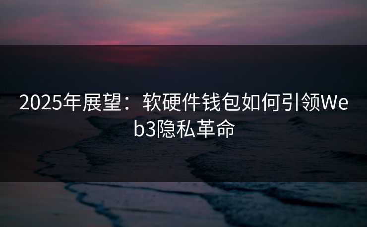 2025年展望：软硬件钱包如何引领Web3隐私革命